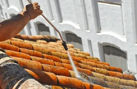 Nettoyage de toitures - Régny